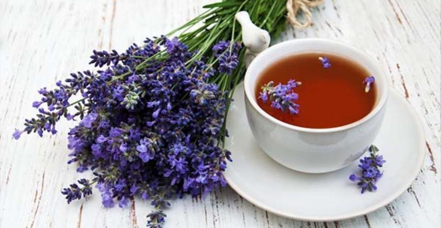 Banner web trà sâm Suối Ngọc 4