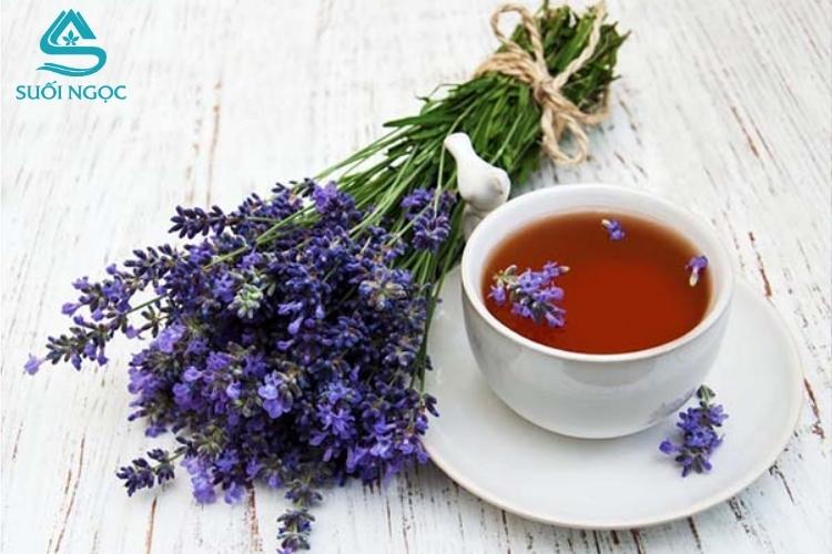 Trà hoa oải hương - Bí quyết thư giãn và ngủ ngon từ thiên nhiên