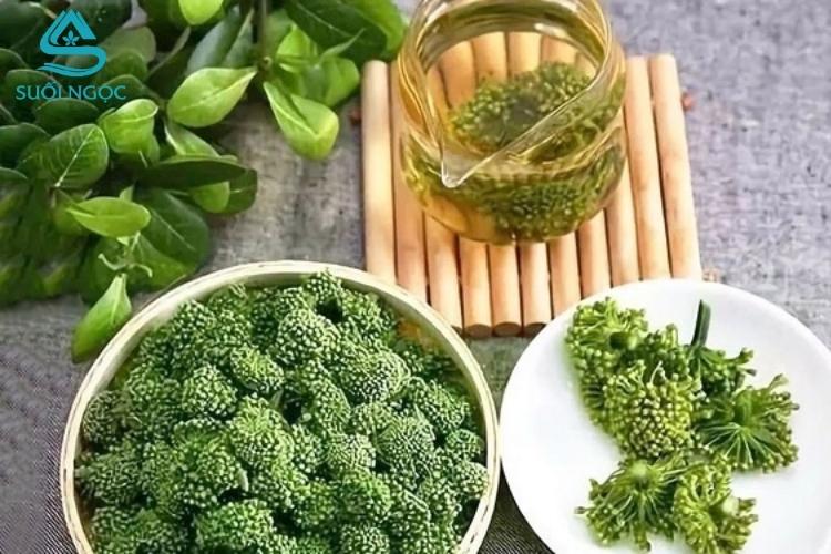 Trà hoa tam thất - Công dụng, cách pha và lưu ý khi sử dụng