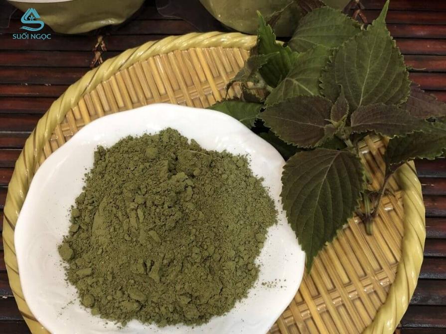 Bột lá tía tô là gì?