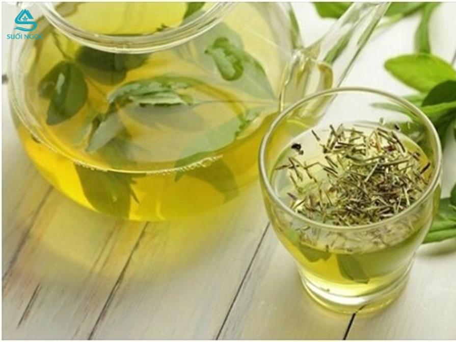 Uống lục trà có tác dụng gì?