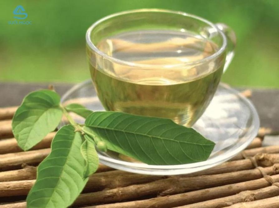 Trà lá ổi là gì?