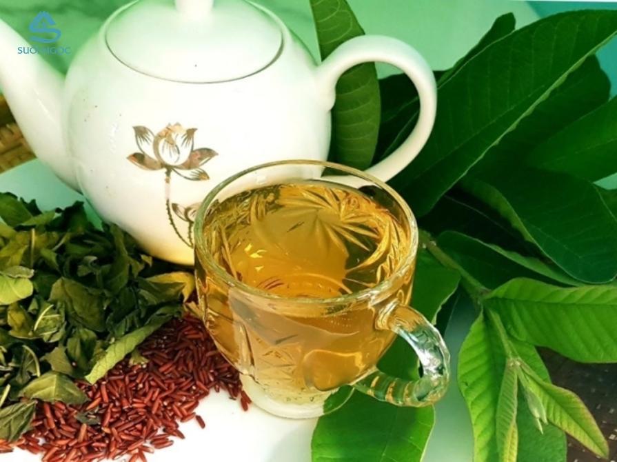 Uống trà lá ổi như thế nào để hỗ trợ giảm cân?