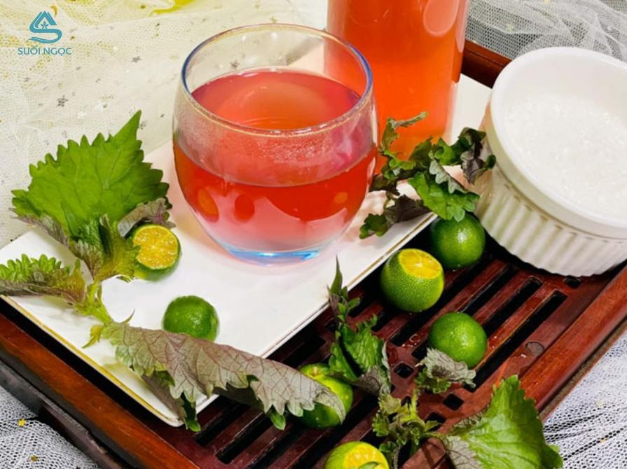 Cách pha trà lá tía tô đơn giản tại nhà