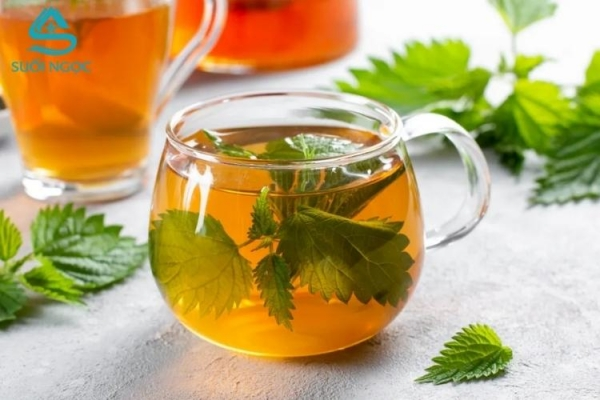 Trà tía tô đất - Thức uống giúp ngủ ngon, giảm căng thẳng và tăng sức đề kháng